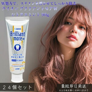 CI uAgAW VgX~g 90g ×24Zbg  ݂ p XeC ̉΂ L\h \h f^PA {̔ ̂锒 u₩~