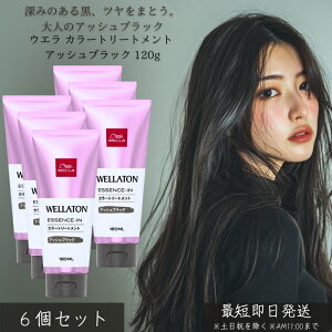 EG J[g[gg AbVubN 120g ×6Zbg ڂ wAJ[ g[gg C AbV c ݃J[ FC ZPA ŊȒP