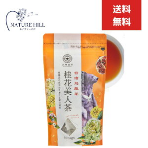 v p  jԔl 2g×10P G eB[obO t ؍  p yY