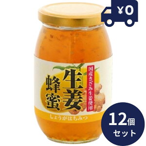 P YݐIgp II 400g 12Zbg P { j}bgP NHi ݂͂ 傤]