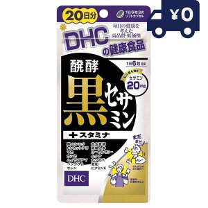 DHC yZT~+X^~i 20 (120) fB[GC`V[ Tvg NHi ^Cv lC Tv ZT~ ɂɂ gJbgA h{⏕HiTvg