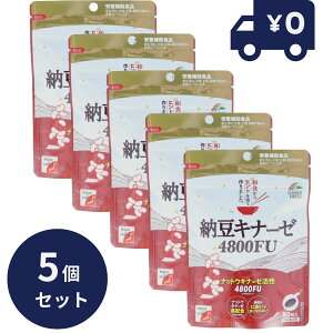 [Li[[ 4800FU (80) 5Zbg { j}bgP Tvg ^Cv 挒 g ֗ Tv NHi