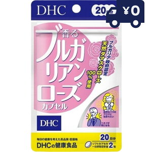 DHC uKA[YJvZ 40(20)@lC NHi Tvg fB[GC`V[ \tgJvZ
