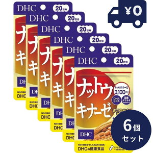 DHC@ibgELi[[@20i20j 6Zbg fB[GC`V[ Tvg NHi ^Cv lC Tv[۔|{GLX Z[X