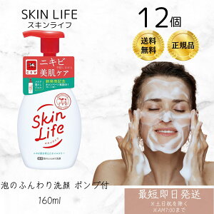 Ό XLCt p Âӂ |vt 160ml ×12Zbg VgXu[P̍ Ό 痿 A^Cv zCbv tH[