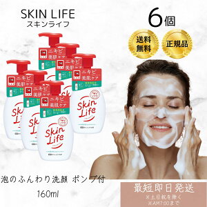 Ό XLCt p Âӂ |vt 160ml ×6Zbg VgXu[P̍ Ό 痿 A^Cv zCbv tH[