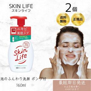 Ό XLCt p Âӂ |vt 160ml ×2Zbg VgXu[P̍ Ό 痿 A^Cv zCbv tH[