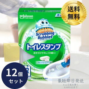 XNrOou gCX^v tbV\[v̍ { 38g 12Zbg yXNrOouz gC gC| 