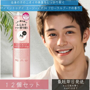 yj[AizAGfI24 pE_[Xv[ t[u[P LTCY 142g 12Zbg  ̏L΍ L  fIhgXv[ t@CgDfC