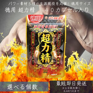 p͐ 84JvZ 42 | }J maka }JTvg }JTv Vg gJbgA Ni  Tvg Tv Tv Tvg j 