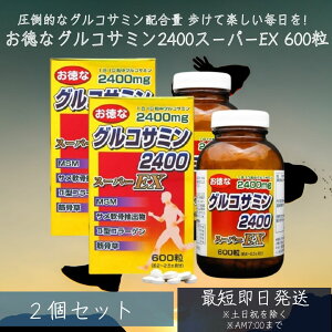 ȃORT~2400X[p[EX 600 60`75 2Zbg | ORT~ RhC` ANeBu T  GLX MSM 2^R[Q ؍