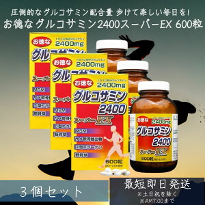 ȃORT~2400X[p[EX 600 60`75 3Zbg | ORT~ RhC` ANeBu T  GLX MSM 2^R[Q ؍