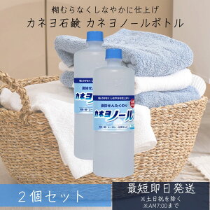カネヨ石鹸 カネヨ ノール ボトル 750ml 2個セット 液体せんたくのり スライム作り 洗たく糊