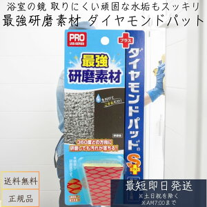 _ChpbhSvX ŋf ̋EKXp q[}VXe S+ _ChpbhS+ lH_Ch KX  | pՕi