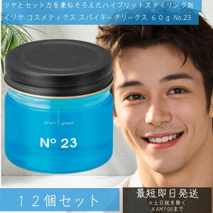 C RXeBNX XpCL[O[NX 60g No.23 12Zbg O[X bNX c n[h  nO[X SPIKY GREAX yCwz