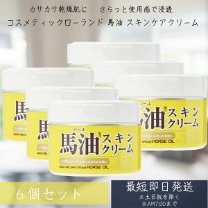 bVCXgGChnXLN[i220gj 6Zbg RXebNX[h {fBPA nhPA ێ ϕi bϕi ̂ nhN[ {fBN[ Sg