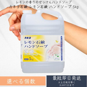 JlΌ Ό nh\[v 5kg Ɩp A|v VNȃ̂₩ȍ nh\[v t̐Ό xr[ 䏊p