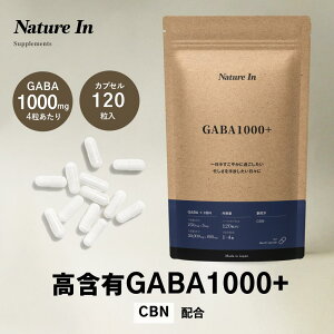 yVzMo GABA 1000mg 120 30 Tv Nature In  { Tvg