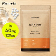 【高濃度 × 4ヶ月分】ビタミンB6 サプリ 6000mg 120日（4か月分）1粒40mgサプリメント Nature In 1粒40m…