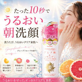 洗顔ジェル 泡立たない洗顔 朝洗顔 アミノ酸洗顔 敏感肌 乾燥肌 毛穴ケア 皮脂 テカリ防止 美容液洗顔 コラーゲン Natureine ナチュレーヌ アミノコラーゲンクイックモイスト洗顔ジェル260g