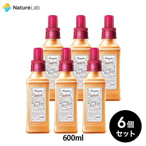 yXőP10{zh _ eB[tOXwObheB[^C(GOOD TEA TIME)xE[eB[ 600mL { 6Zbg | t Y I[KjbN R jIC hL ÓdCy