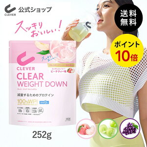 ySiP10{zNo[ NA EGCg_E _CGbg 252gi7`21񕪁js[`eB[ }XJbg Ԃǂ | WPI veC zGCveC  e u  u