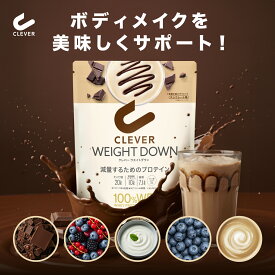 【カフェオレ味 新登場】【楽天ランキング1位】クレバー ウエイトダウン WPI ホエイプロテイン 315g（約7〜21回分）チョコレート ミックスベリー ヨーグルト ブルーベリー カフェオレ | プロテイン ダイエット 美容 女性 ビタミン 置き換え 置き換えダイエット 高タンパク