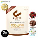【店内最大P10倍】【送料無料】クレバー マッスル WPI ホエイプロテイン 810g (約27〜54回分) ×3個セット チョコレート ミックスベリー ヨーグルト | プロテイン ホエイ アイソレート チョコ味 ベリー BCAA アミノ酸 高タンパク質 低糖質 低脂質 ヘルスケア ボディメイク