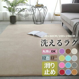 洗える ラグマット リビングマット 滑り止め 40×60CM/60×90CM/80×160CM/120×160CM/160×200CM/160×250CM/200×250CM ラグ 絨毯 ラグマット カーペット 耐久性 防音 ズレない フロアマット 大判 足元マット 長方形 四角 絨毯 シンプル おしゃれ