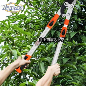 |p΂ } ؒfa55mm ͌^ ΂ eRLk69-103cm }؂oT~ ̉|pi ؂̙肪ȒPɂł鉀|E֐nt