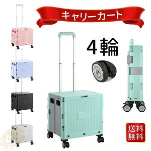 L[J[g ܂肽 Ki S  VbsOJ[g  e40L AEghA e ω׏d50kg LX^[t t^t