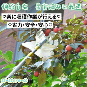 t[csbJ[ ʕ }؂΂ Lk } ʕ nc[ sbLOc[ ʕLb`[ y x[sbJ[ ʎpt[csbJ[