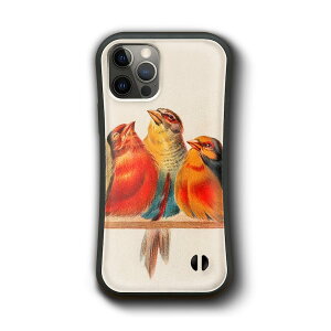 iPhoneSE3 񐢑 OP[X iPhone13 P[X iPhone12 wN^[WR ̂Ƃ܂ @Ή P[X g lC G I softbank v[g 