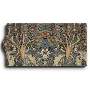 L[P[X EBAX LccL ֗ObY  P[X G Ԃ̌ 킢 g ʊw