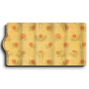 L[P[X EBA X pE_[h ֗ObY  P[X G Ԃ̌ 킢 g ʊw