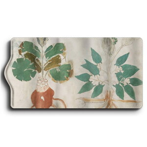 L[P[X ?HCjb`e1 ֗ObY  P[X G Ԃ̌ 킢 g ʊw