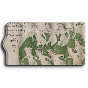 L[P[X ?HCjb`e Õ10 ֗ObY  P[X G Ԃ̌ 킢 g ʊw