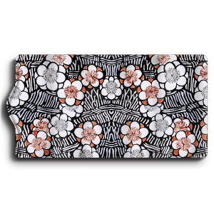 L[P[X ԕ a ŉ ֗ObY  P[X G Ԃ̌ 킢 g ʊw