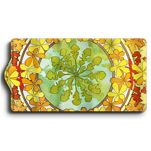 L[P[X AtHX ~V W9 ֗ObY  P[X G Ԃ̌ 킢 g ʊw