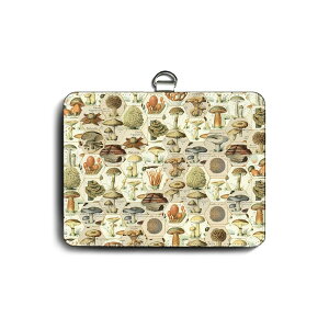 pXP[X Јؓ  AeB[N̂炯 Y   G  pXP[X