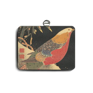 pXP[X Јؓ  ɓt Ԓ ŉ4 ֗ObY   P[X G pXP[X 킢 g ʊw J[hP[X