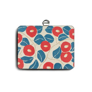 pXP[X Јؓ  |v  ֗ObY   P[X G pXP[X 킢 g ʊw J[hP[X