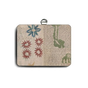 pXP[X Јؓ  ?HCjb`I J[hP[X ֗ObY G E̖ k g  Y