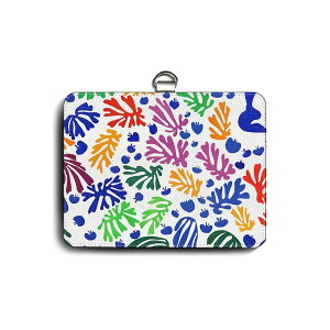 pXP[X Јؓ  A }`X CRƃZC[ ֗ObY   P[X G pXP[X 킢 g ʊw J[hP[X