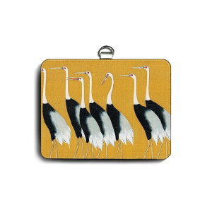 pXP[X Јؓ  ` `Iё ֗ObY   P[X G pXP[X 킢 g ʊw J[hP[X