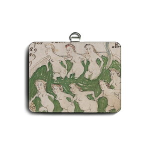 pXP[X Јؓ  ?HCjb`e Õ10 ֗ObY   P[X G pXP[X 킢 g ʊw J[hP[X