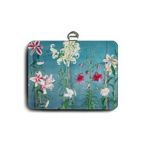 pXP[X Јؓ  ꐳ  fB[X IDP[X 킢 J[hz_[  v[g 