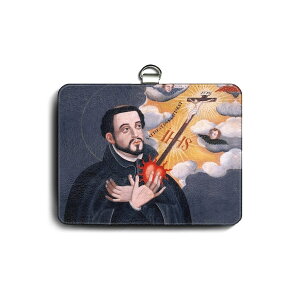 pXP[X Јؓ  tVXRUrG CGYX fB[X IDP[X 킢 J[hz_[  v[g 