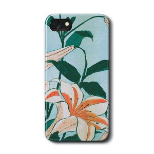 X}zP[X k S  iPhoneSE3 P[X iPhone16e SONY G g lC ӂ12 iPhone13mini iPhoneXR 킢