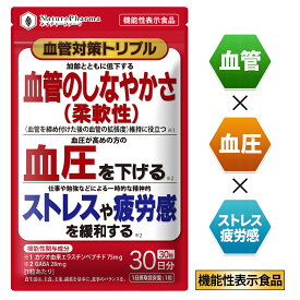 高めの血圧を下げる 血管のしなやかさ維持 血圧サプリ ストレス緩和 疲労感緩和 機能性表示食品 血管 血圧 サプリ GABA エラスチン 血圧を下げるサプリ 30日分 サプリメント ヘスペリジン ケルセチン 黒ショウガ ビタミンB2 血管対策トリプル けつあつ 送料無料 日本製